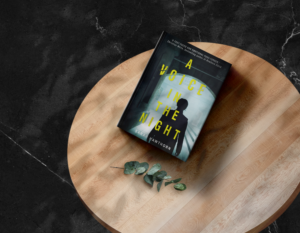 A Voice In The Night Book Cover A Voice In The Night book cover